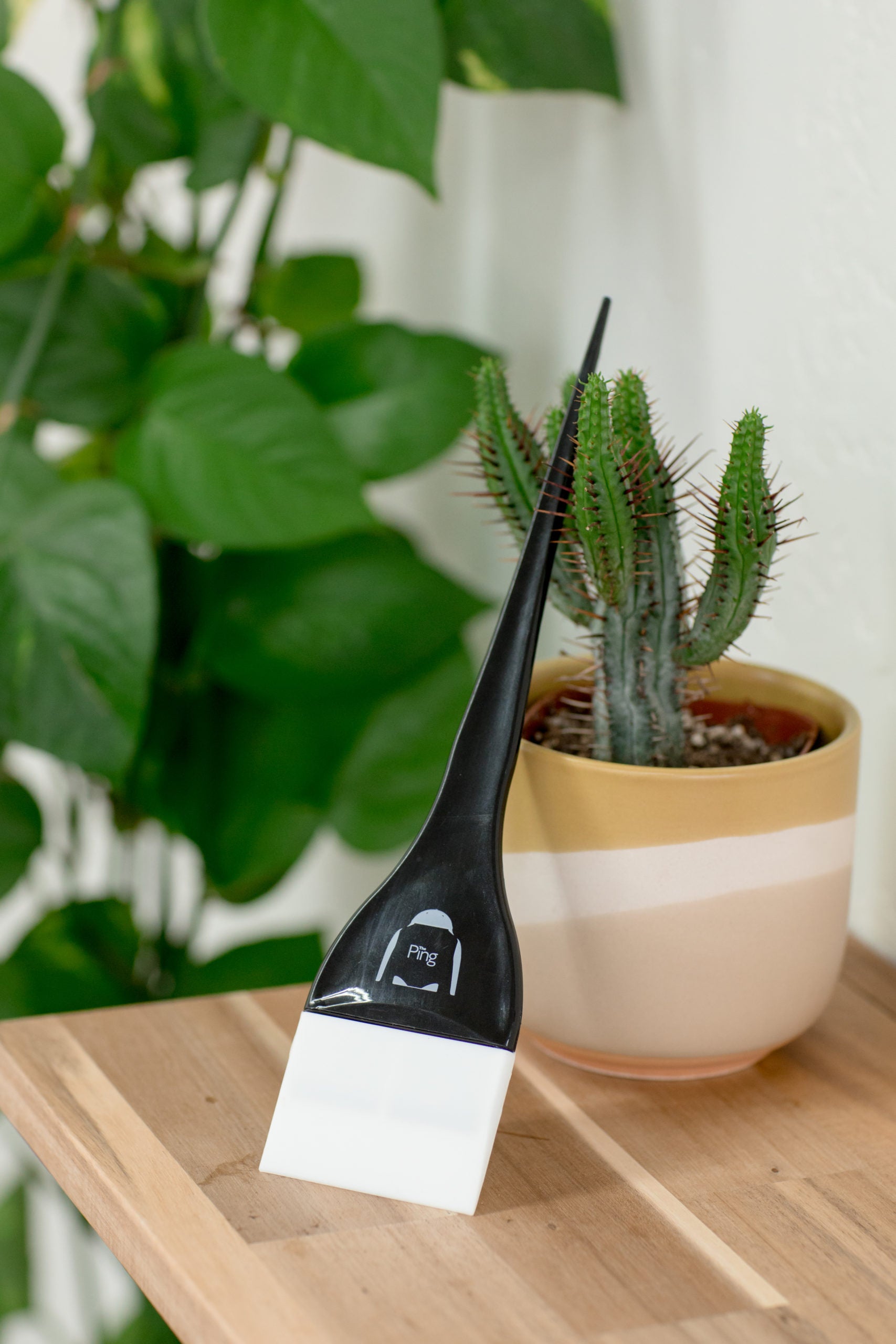 Ping Cleaning Spatula