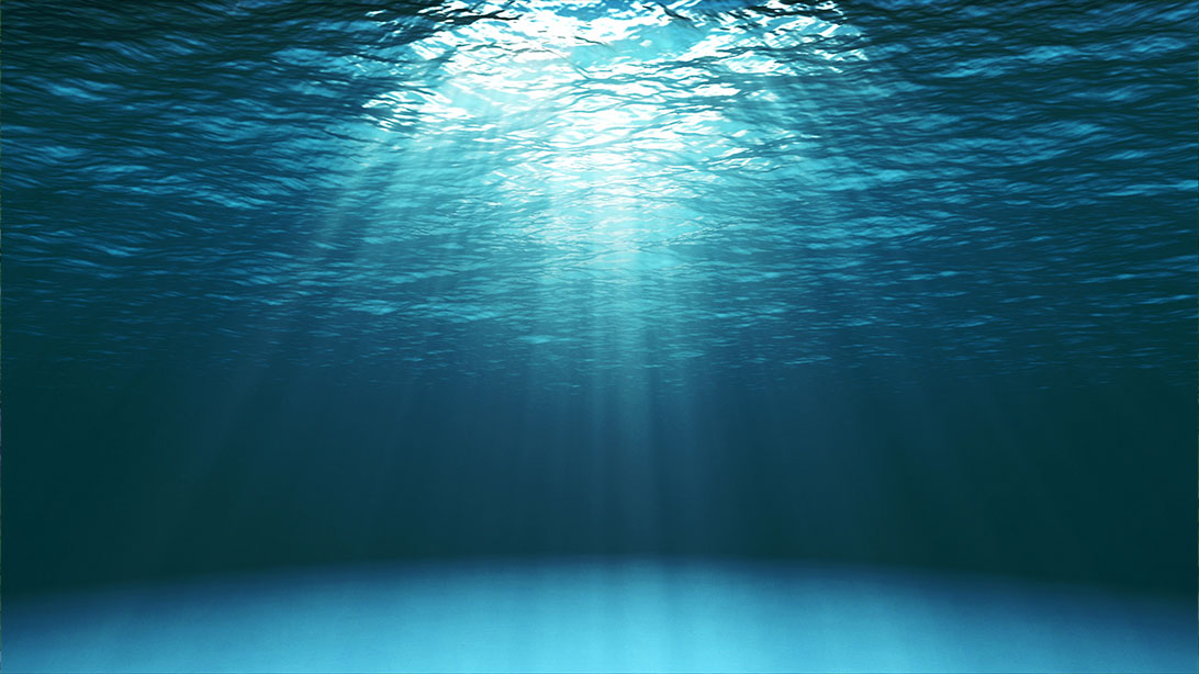 Days to Celebrate on Social in June 2025: Embracing a Greener Summer