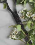 Leaf 'Black Edition' Hairdressing Shears